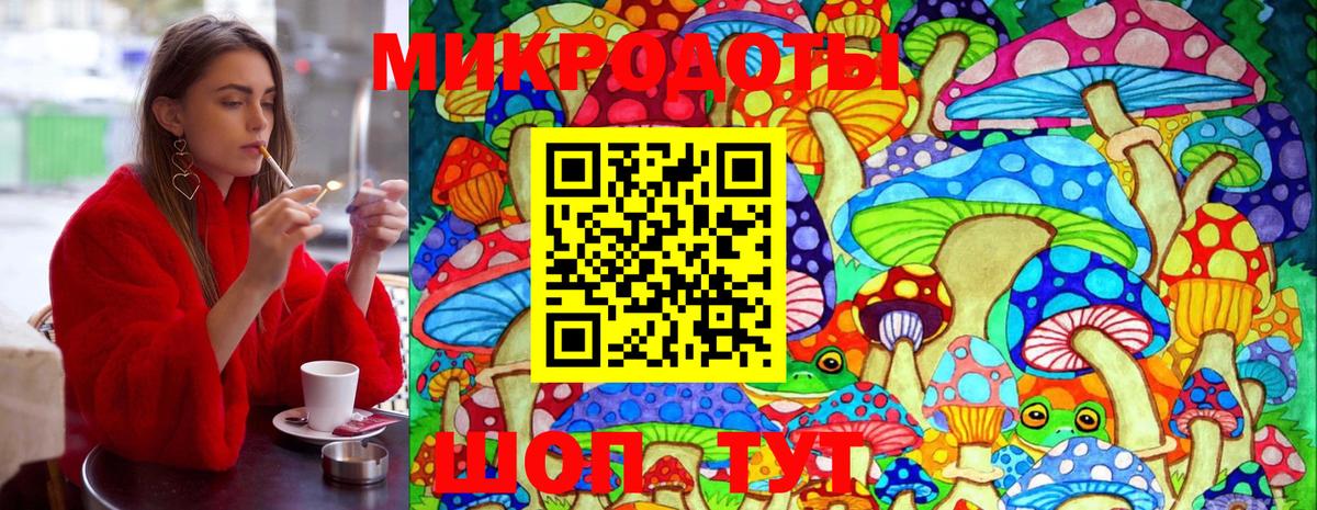 Псилоцибиновые грибы Cubensis Тихвин