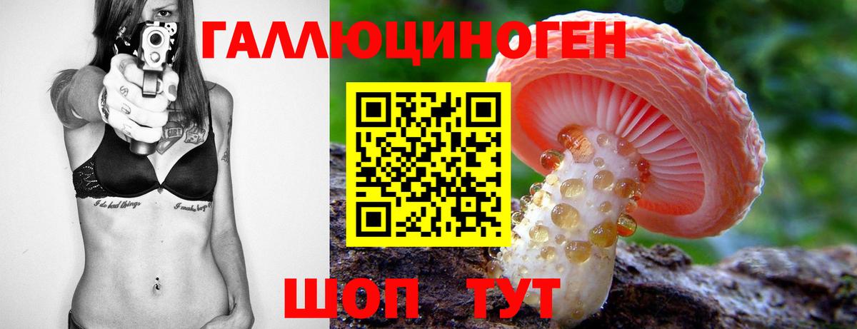 дарнет шоп  Вход с VPN  Тихвин  Галлюциногенные грибы прущие грибы 